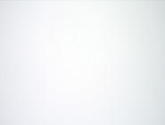 �V�g�̊G�|�f�b�T���i�K
